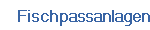Fischpassanlagen
