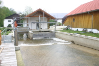 Niederhausen, Um/Neubau